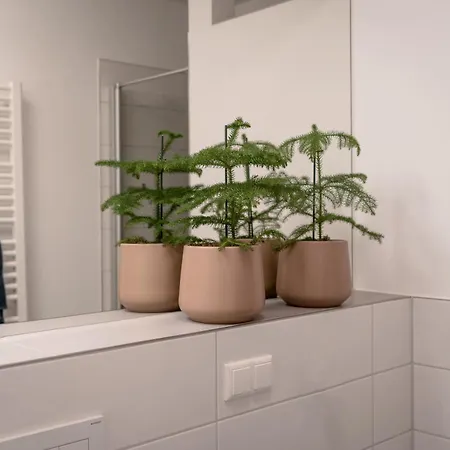 Ferienwohnung Altstadt Regensburg Apartment Regensburg